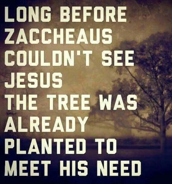 f6a7bff36c7efafb6b46faf2561d9439